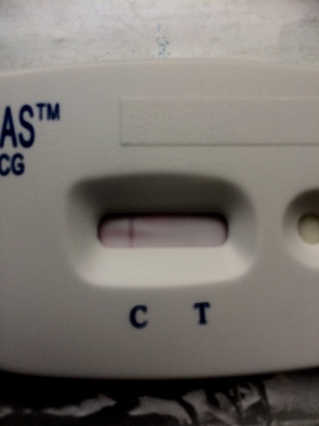 Does anyone see a second line?!