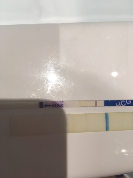 Are these BFPs?