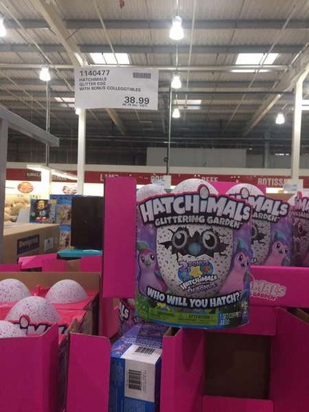 Can i get a hatchimal any cheaper?