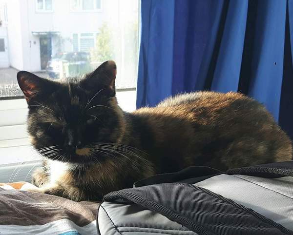 Lovely new girl!