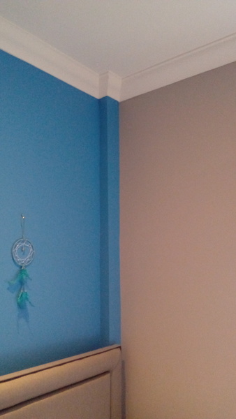 Recommend a grey paint for teenage son's room