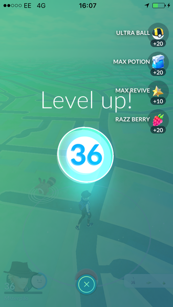 PokemonGo 13: I'm Bayleef, I'm the gardener, I walk from early dawn (to earn candy to evolve to Meganium)