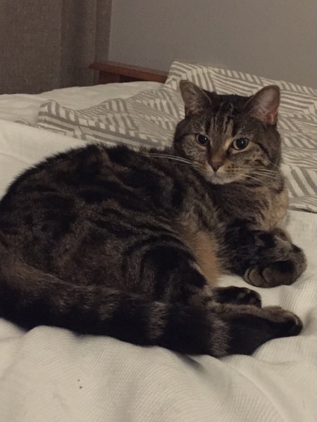 New frugal thread for autumn savings