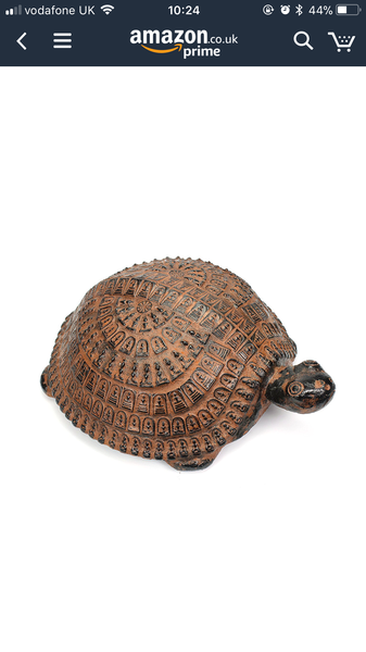 Things you really should have known sooner...