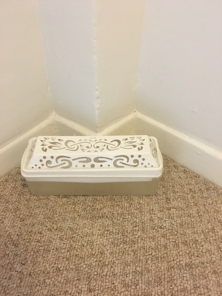 What is this thing? Photo inside.