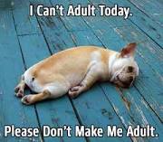 To not go to work tomorrow because I can't bloody be arsed