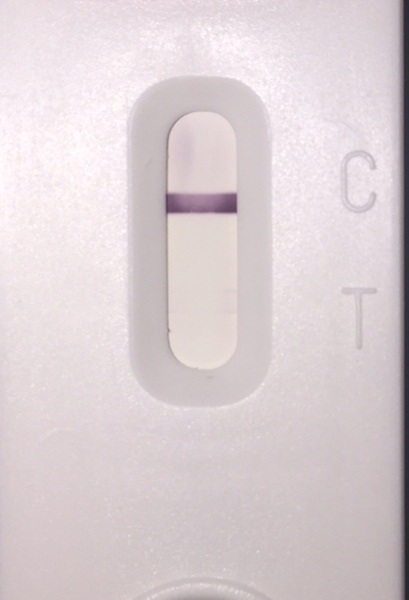 Can a Clear Blue Digital Pregnancy Test give a false negative?