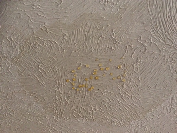 Frugaleering, cakes and baby talk