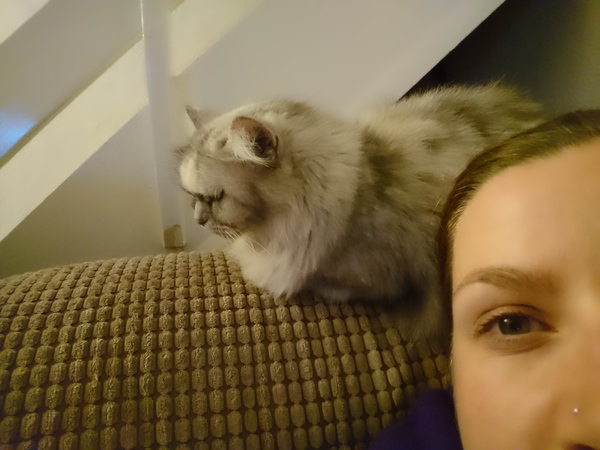 Bad cat slave