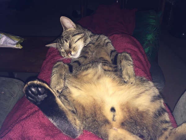 Some of us have the life of Riley