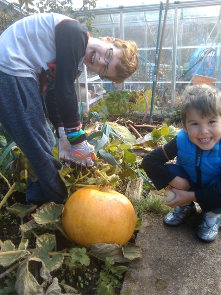 Share your Halloween preparation tips with Cadbury - £300 voucher to be won NOW CLOSED