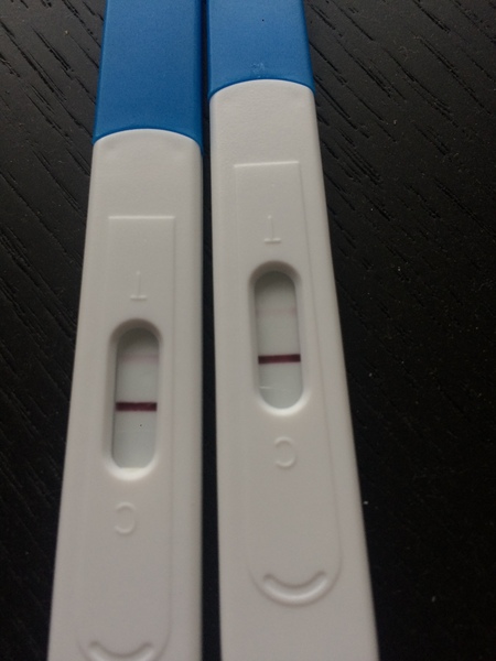Any mid-sept testers?