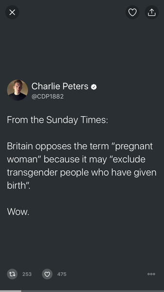 UK submission to  UN - "whatabout the pregnant men?"
