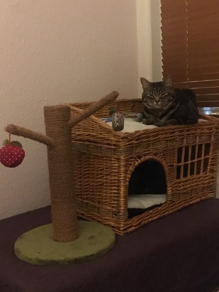 I spent £22 on this...