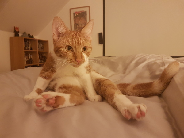 Toe beans!