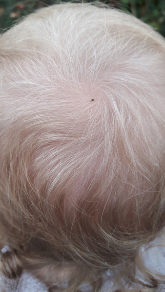 Mark on DD head...(photo)