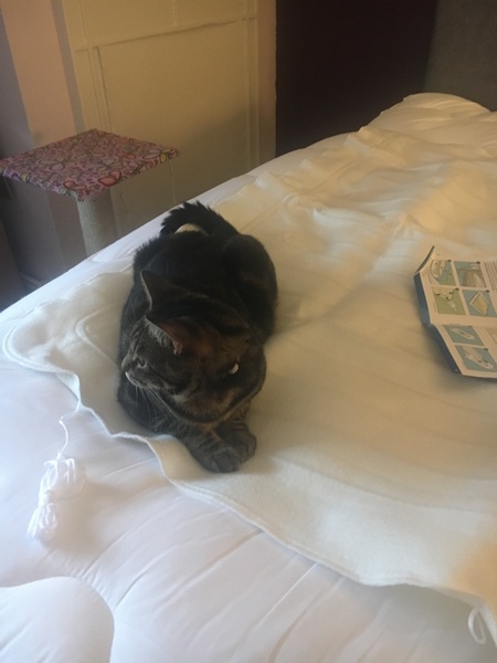 Some of us have the life of Riley