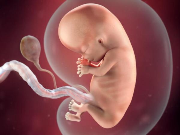 Which end is my baby's head?!