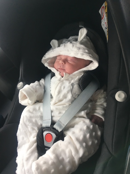 October 2017: Babies are here!