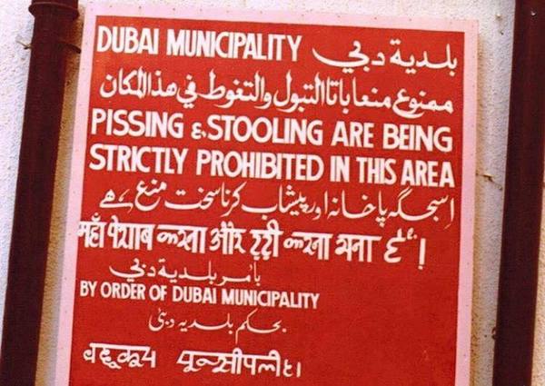 Week 2 - Low Carb Bootcamp - my favourite week!