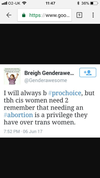 UK submission to  UN - "whatabout the pregnant men?"