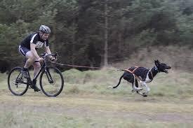 To ask everyone to remind.... [cycling related]