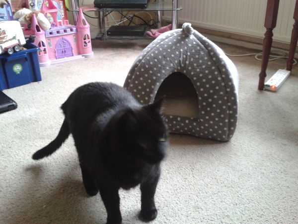 I spent £22 on this...