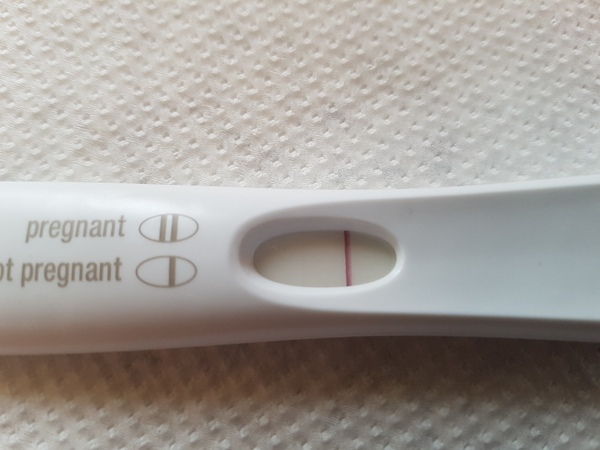 Evaporate line or pregnant?