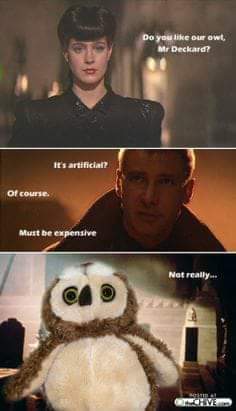 to be overly invested in the possibility of seeing Blade Runner at my local cinema?