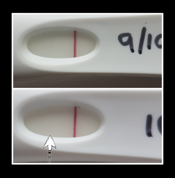 TTC after pregnancy loss - lucky thread 13