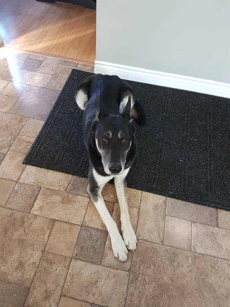 Welcome to Week 1 - October Low Carb Bootcamp starts here!