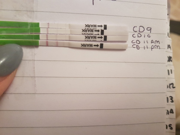 TTC after pregnancy loss - Love is the Drug - and lots of vitamins - thread 14