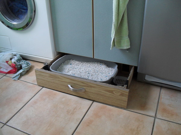 Can cats manage overnight with no litter tray?