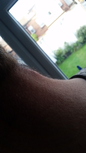 The gods have answered my prayers...