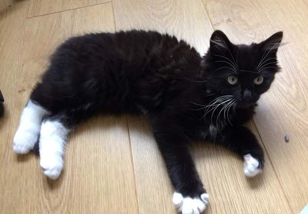 Our new boy - photos included