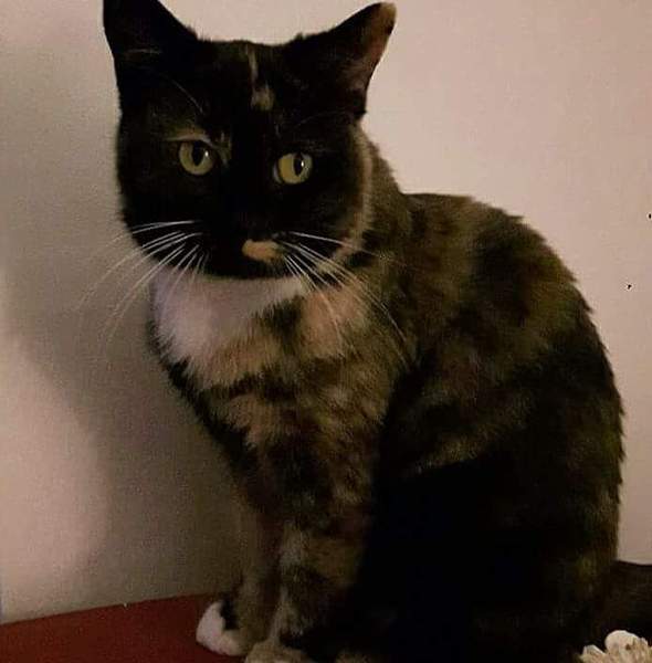 Lovely new girl!