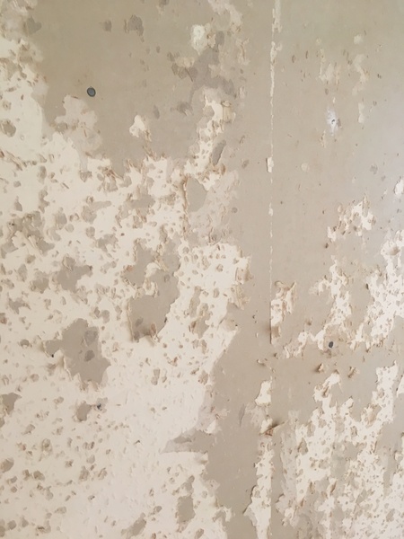 Wallpapering on boards, what do I need to do? (Pic)