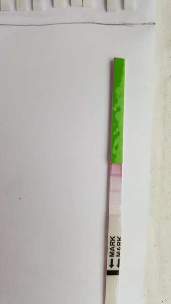 TTC after pregnancy loss - lucky thread 13