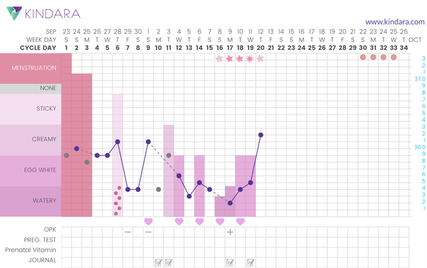 TTC after pregnancy loss - lucky thread 13