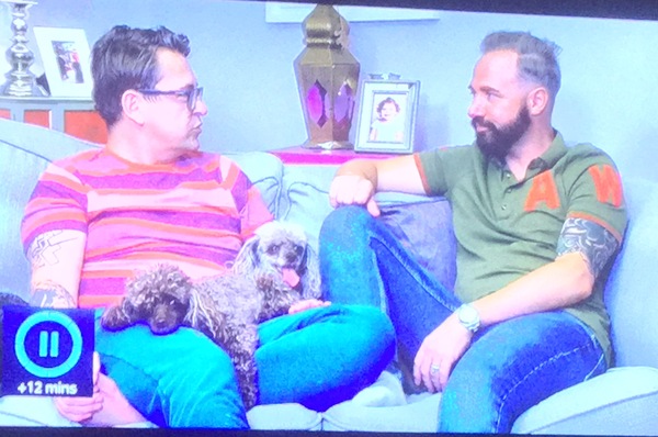 gogglebox destressed looking dog