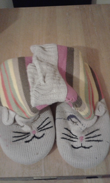 To confuse my slipper boots with our cat?