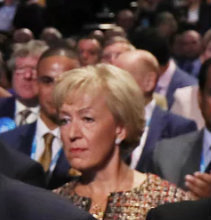 Westminstenders: Beano or Bust