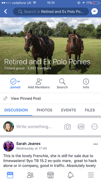 What is this horse worth?