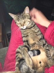Some of us have the life of Riley