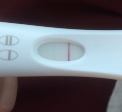 Jesus Christ someone tape my hands together - Prego Tests