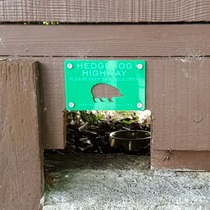 size of a hedgehog door
