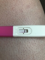 Positive pregnancy test then the line disappeared