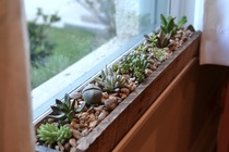 Show me your living room window ledges