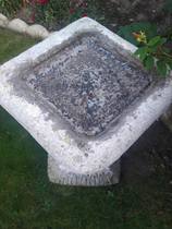 Could I plant anything in this bird bath?
