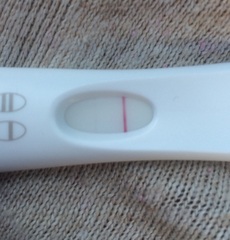 Jesus Christ someone tape my hands together - Prego Tests